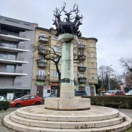 Cantata profana-kút, Budapest - Egyéb