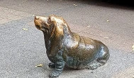 Columbo-szobor, Budapest