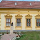 Csók István Emlékmúzeum Cece - Egyéb