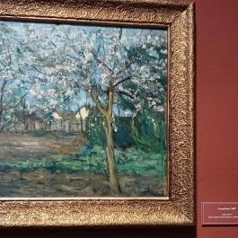 Csók István Emlékmúzeum, Cece - Egyéb