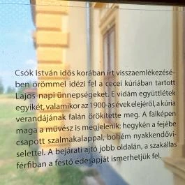 Csók István Emlékmúzeum, Cece - Egyéb