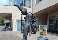 Curriculum Vitae Szolnok