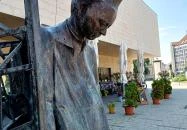 Curriculum Vitae Szolnok