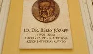 Damjanich János Múzeum, Szolnok