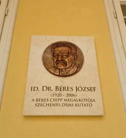 Damjanich János Múzeum
