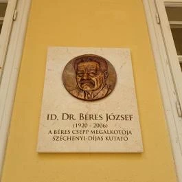Damjanich János Múzeum, Szolnok - Külső kép
