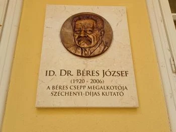 Damjanich János Múzeum Szolnok