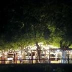 Debreceni Nagyerdő Debrecen - Egyéb