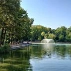 Debreceni Nagyerdő Debrecen - Egyéb