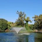 Debreceni Nagyerdő Debrecen - Egyéb