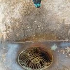 Délibáb díszkút Berekfürdő - Egyéb