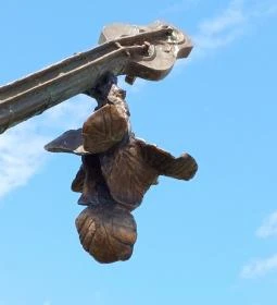 Dombra - a Róna hangja