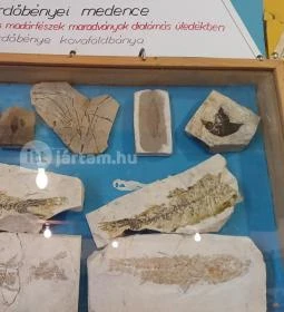 Encsy György Tokaj-Hegyalja Földtani Gyűjteménye