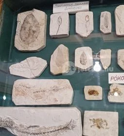 Encsy György Tokaj-Hegyalja Földtani Gyűjteménye