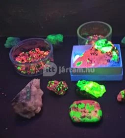 Encsy György Tokaj-Hegyalja Földtani Gyűjteménye