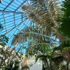 ELTE Füvészkert Budapest - Egyéb