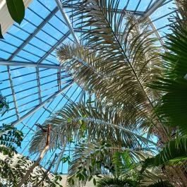 ELTE Füvészkert, Budapest - Egyéb