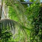 ELTE Füvészkert Budapest - Egyéb