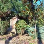 ELTE Füvészkert Budapest - Egyéb