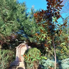 ELTE Füvészkert, Budapest - Egyéb