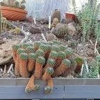 ELTE Füvészkert Budapest - Egyéb