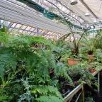 ELTE Füvészkert Budapest - Egyéb