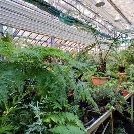 ELTE Füvészkert, Budapest - Egyéb