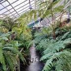 ELTE Füvészkert Budapest - Egyéb