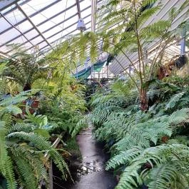 ELTE Füvészkert, Budapest - Egyéb