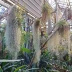 ELTE Füvészkert Budapest - Egyéb