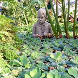 ELTE Füvészkert, Budapest - Egyéb