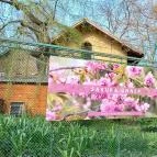 ELTE Füvészkert Budapest - Külső kép