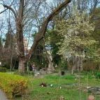 ELTE Füvészkert Budapest - Külső kép