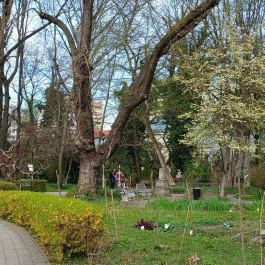 ELTE Füvészkert Budapest - Külső kép