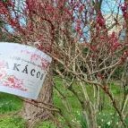 ELTE Füvészkert Budapest - Külső kép