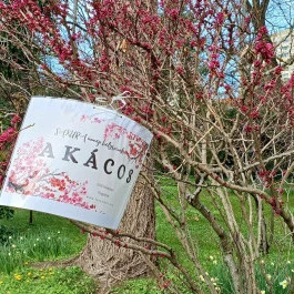 ELTE Füvészkert Budapest - Külső kép