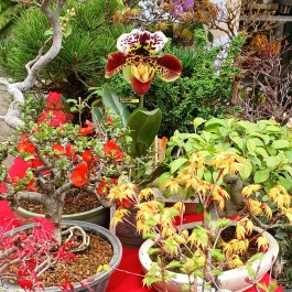 ELTE Füvészkert Budapest - Belső