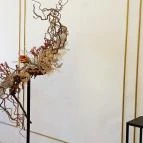 ELTE Füvészkert Budapest - Belső