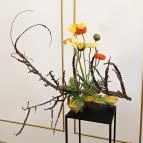 ELTE Füvészkert Budapest - Belső