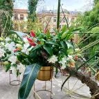 ELTE Füvészkert Budapest - Külső kép