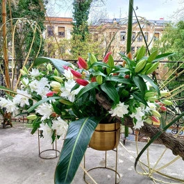 ELTE Füvészkert Budapest - Külső kép