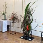 ELTE Füvészkert Budapest - Belső