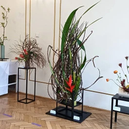 ELTE Füvészkert Budapest - Belső