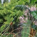 ELTE Füvészkert Budapest - Külső kép