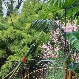 ELTE Füvészkert Budapest - Külső kép