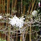 ELTE Füvészkert Budapest - Külső kép