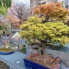 ELTE Füvészkert Budapest - Külső kép