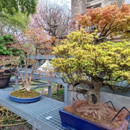 ELTE Füvészkert Budapest - Külső kép