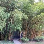 ELTE Füvészkert Budapest - Külső kép