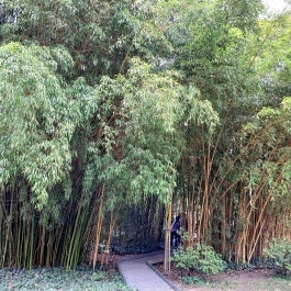 ELTE Füvészkert Budapest - Külső kép